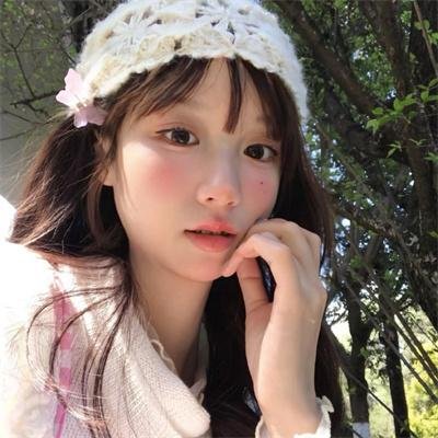 叛碟